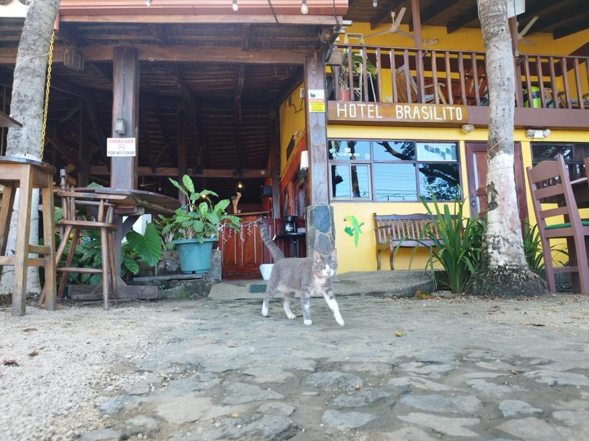 Rustic Beach Front Hotel ブラシリト エクステリア 写真