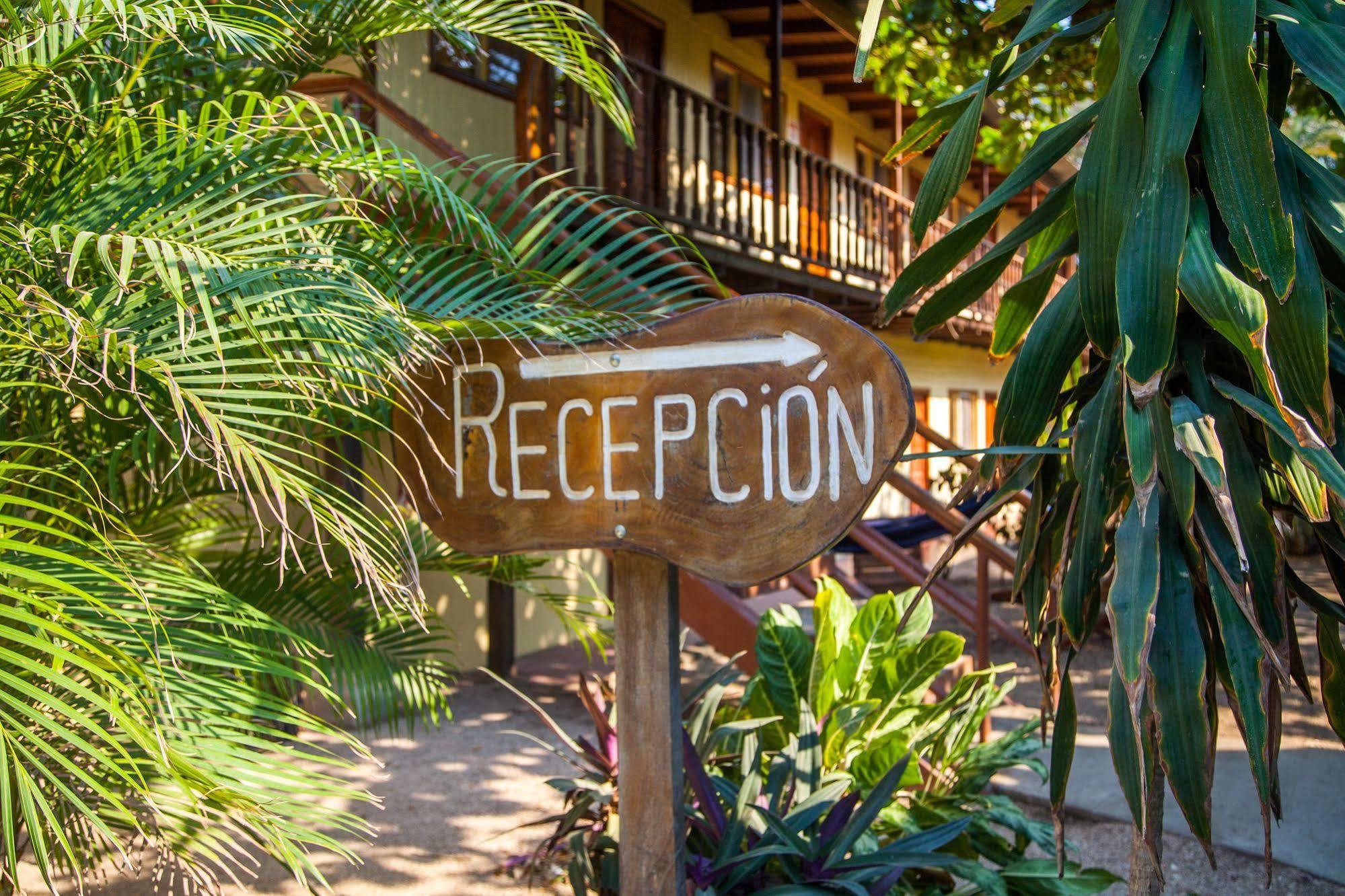 Rustic Beach Front Hotel ブラシリト エクステリア 写真