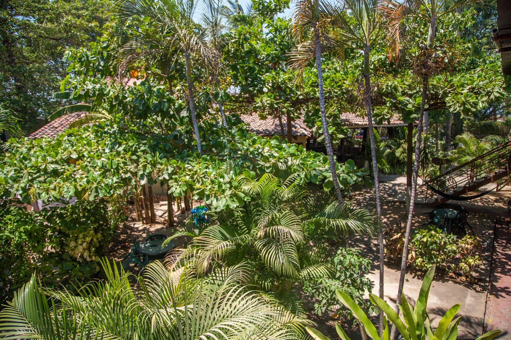 Rustic Beach Front Hotel ブラシリト エクステリア 写真